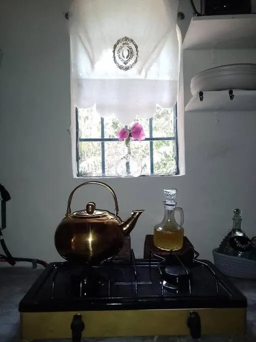 La Antigua, Relax In The Middle Of Nature Leona Vicario